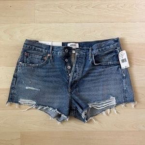 AGOLDE Parker Vintage Cut-off Short (size 29) **NWT**